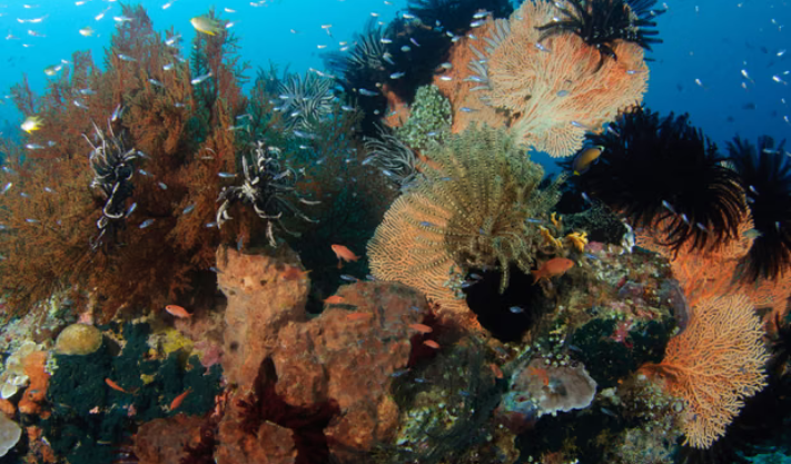 Earth being ‘pushed beyond its limits’ as energy imbalance reaches record high