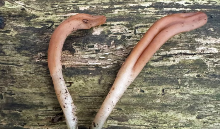 Waste and Recycling in England: What’s Changing and Why It Matters